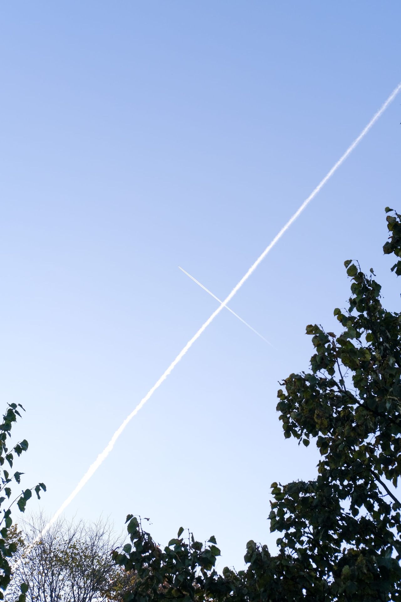Two white aircraft trails crossing in a pale blue sky above leafy trees