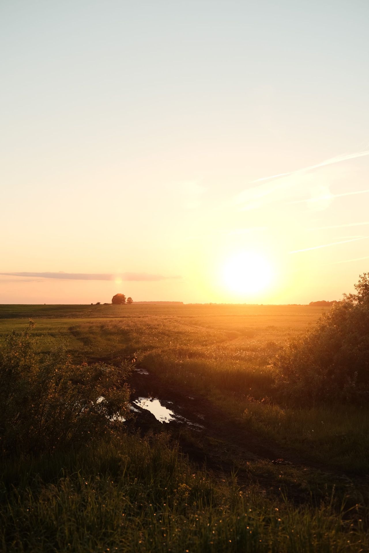 Low golden sun over open fields and a narrow stream at sunset