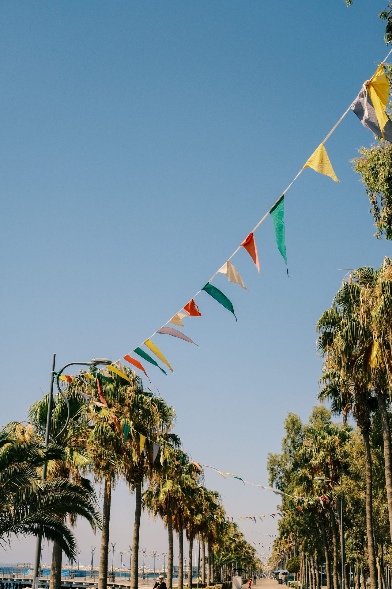 Colourful triangular flags crossing a clear sky above a palm-lined promenade
