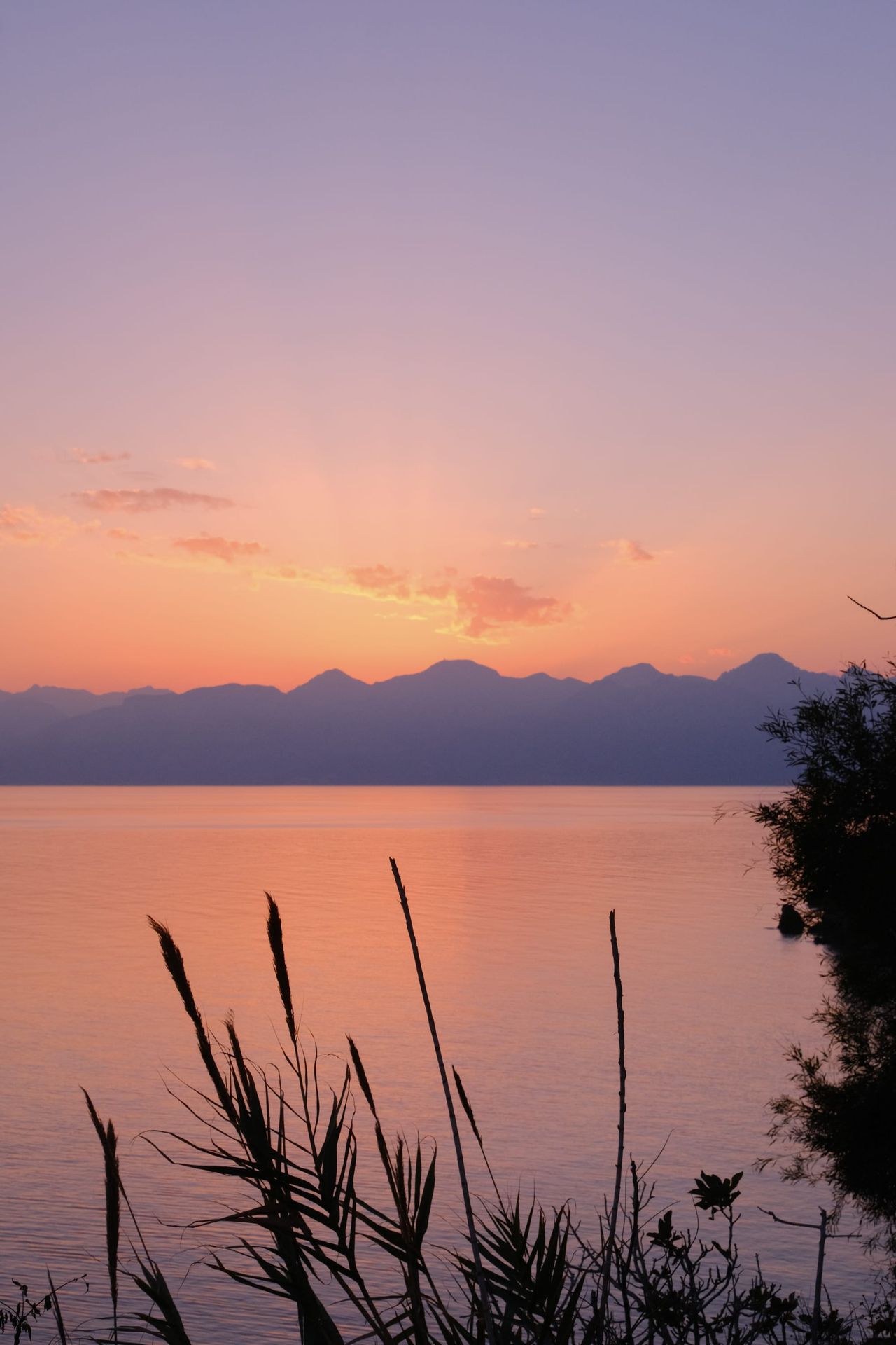 Peach dusk over a calm lake with mountain silhouettes and reeds