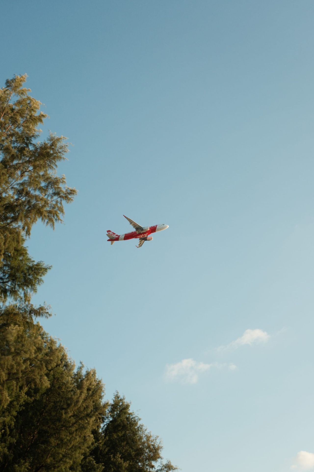 Small red-and-white airplane flying above trees in a clear blue sky