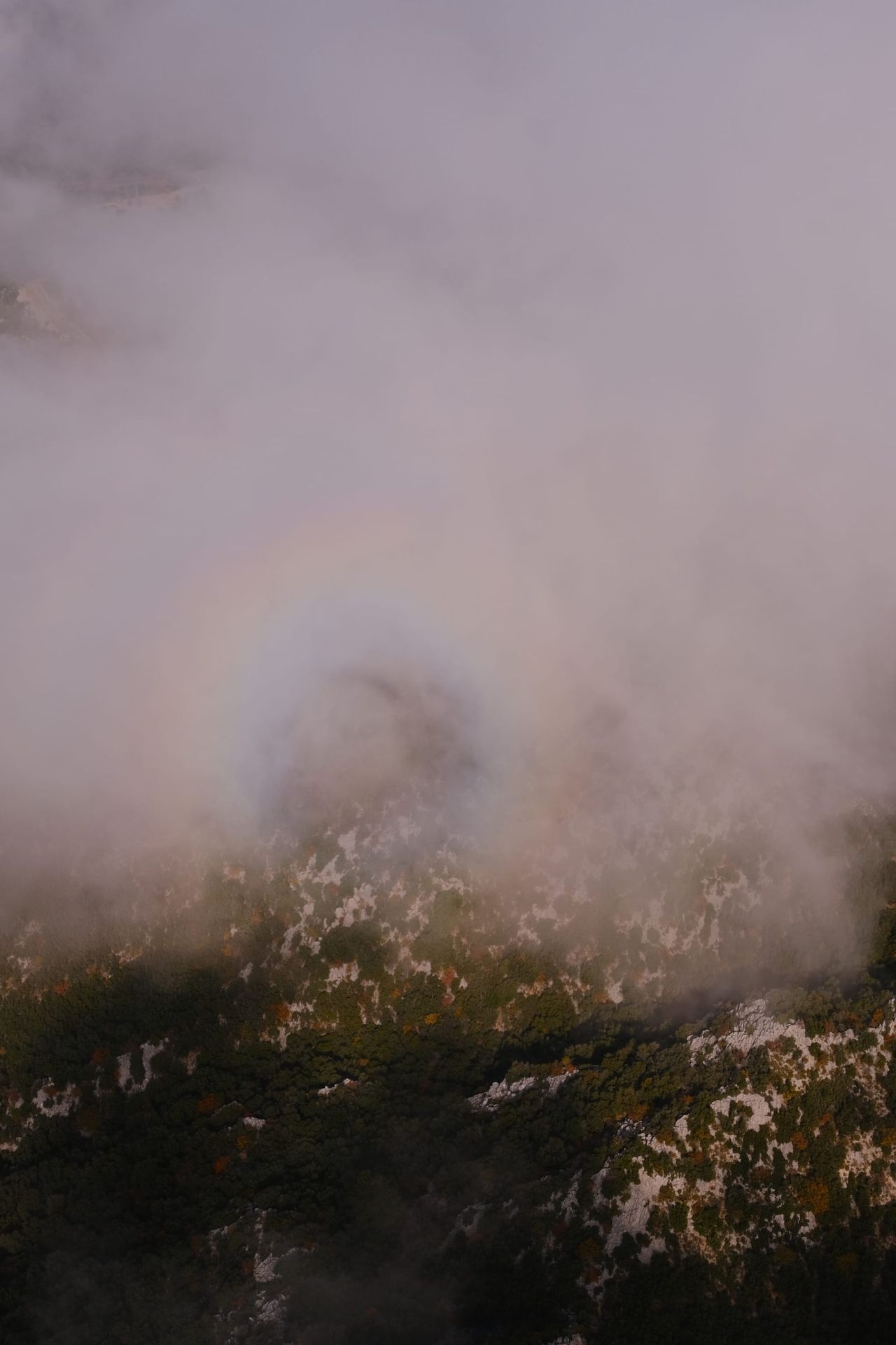 Mountain vegetation partly hidden by pink-white cloud