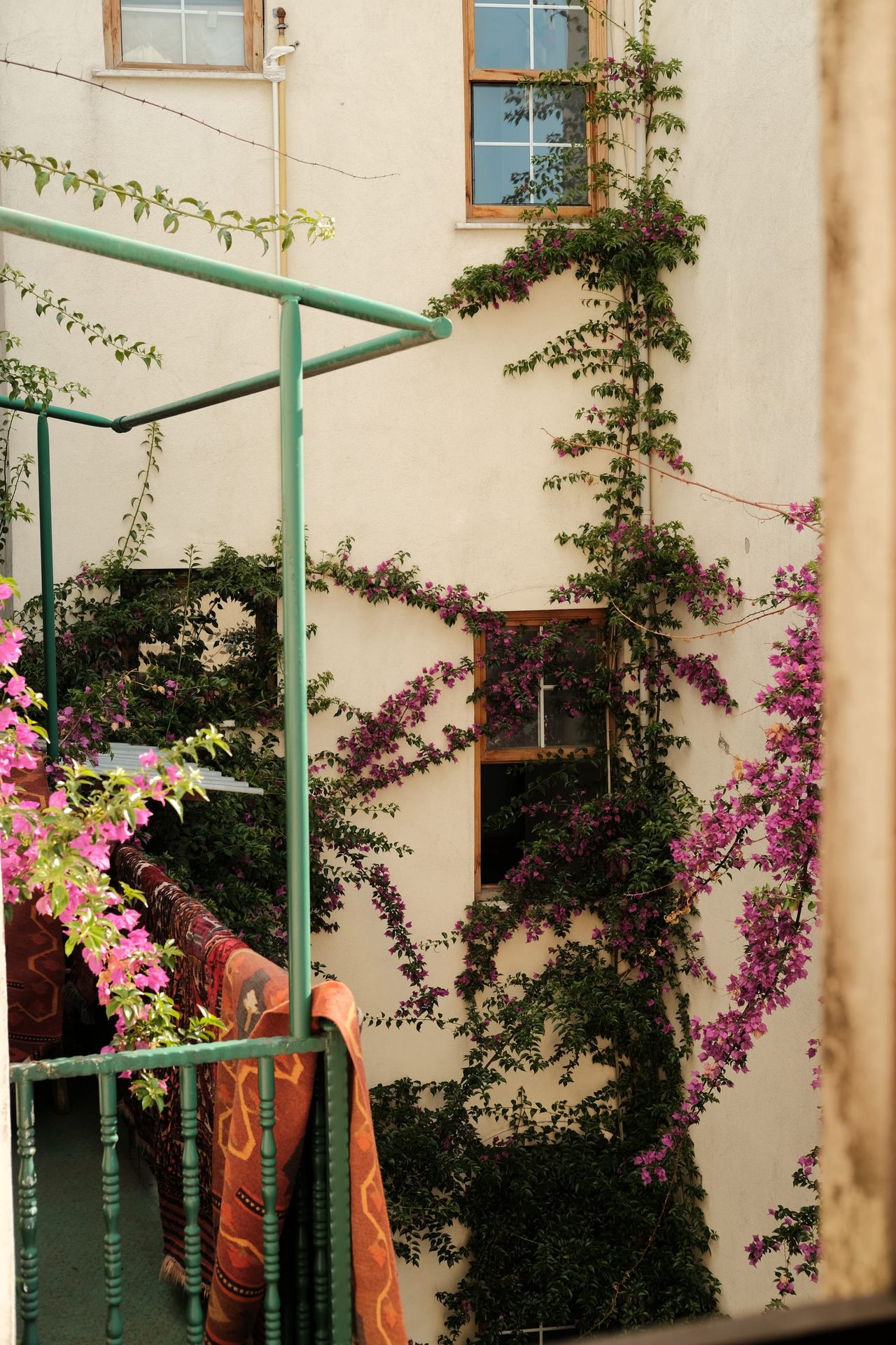 Flowering plants climb around a green railing and the doorway of a pale building.