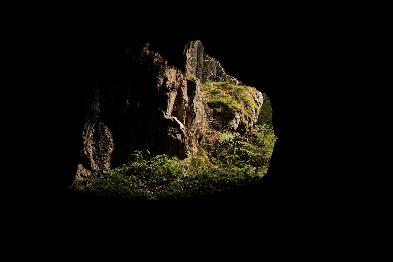 A sunlit, moss-covered rock formation framed by a deep shadow in the foreground.