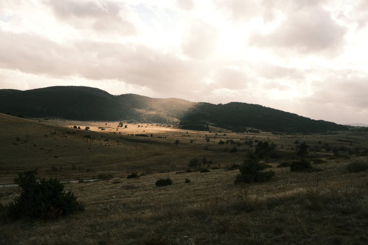 A patch of sunlight crosses an open mountain meadow beneath heavy clouds.