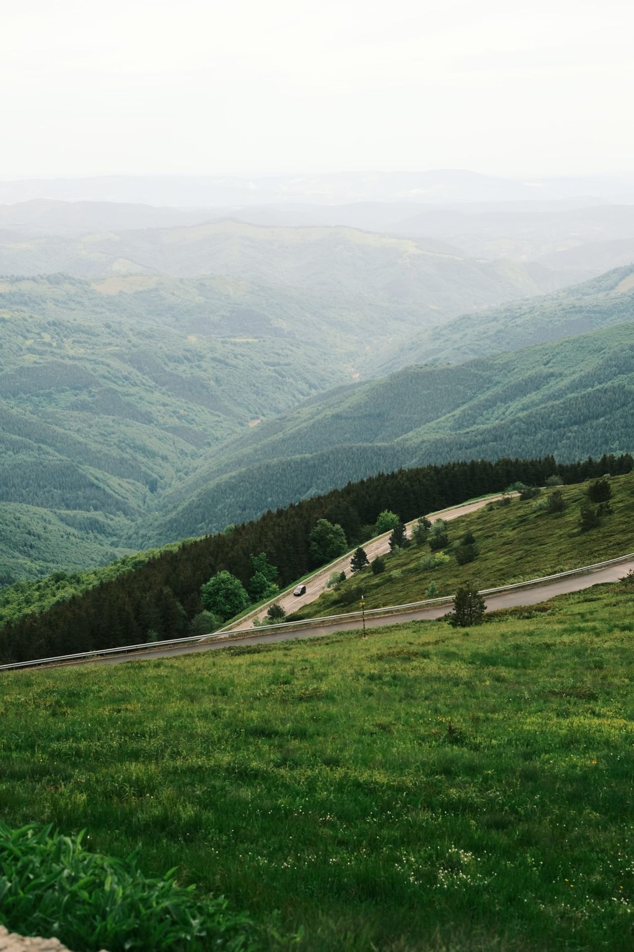 Deep forested valley viewed from a grassy mountain slope