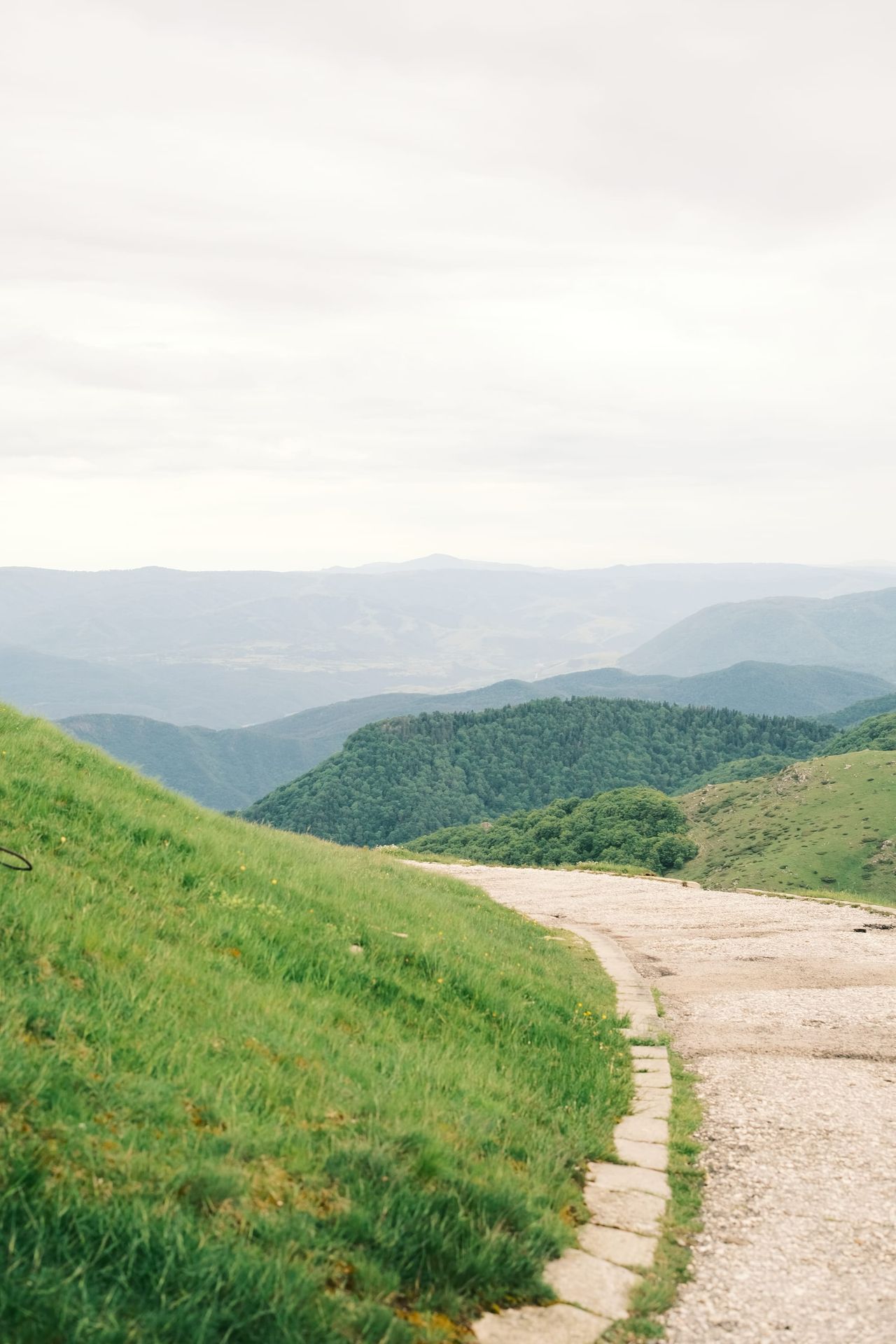 Narrow concrete road descending through open green hills