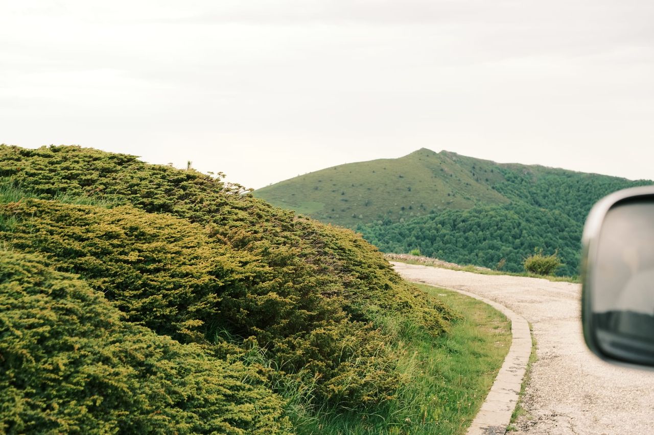 Mountain road curving around dense low shrubs