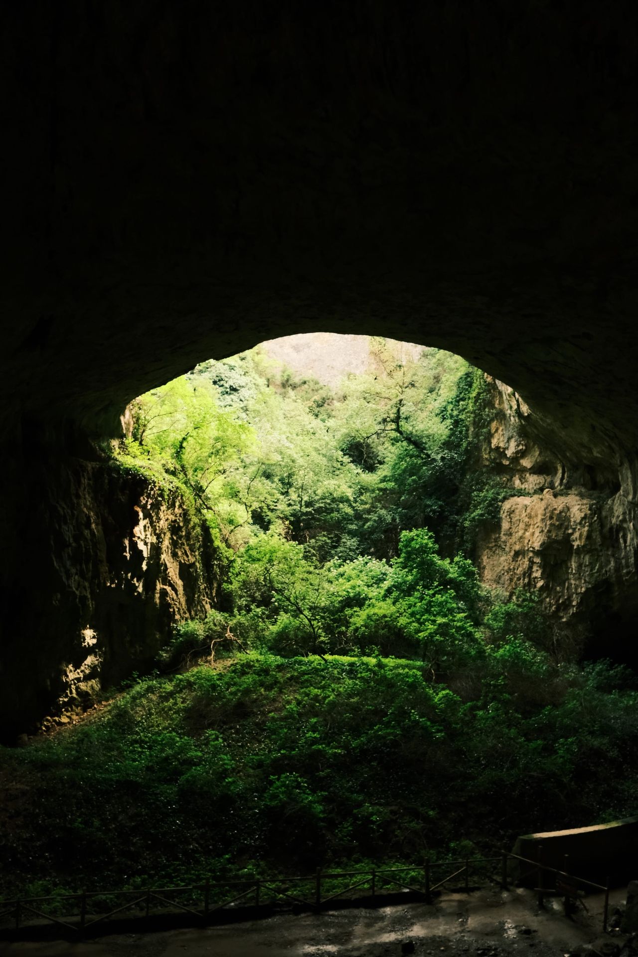 Bright green vegetation framed by a dark cave arch