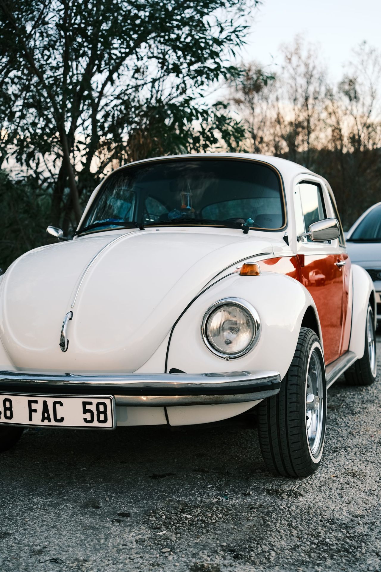 White classic Volkswagen Beetle parked beneath trees