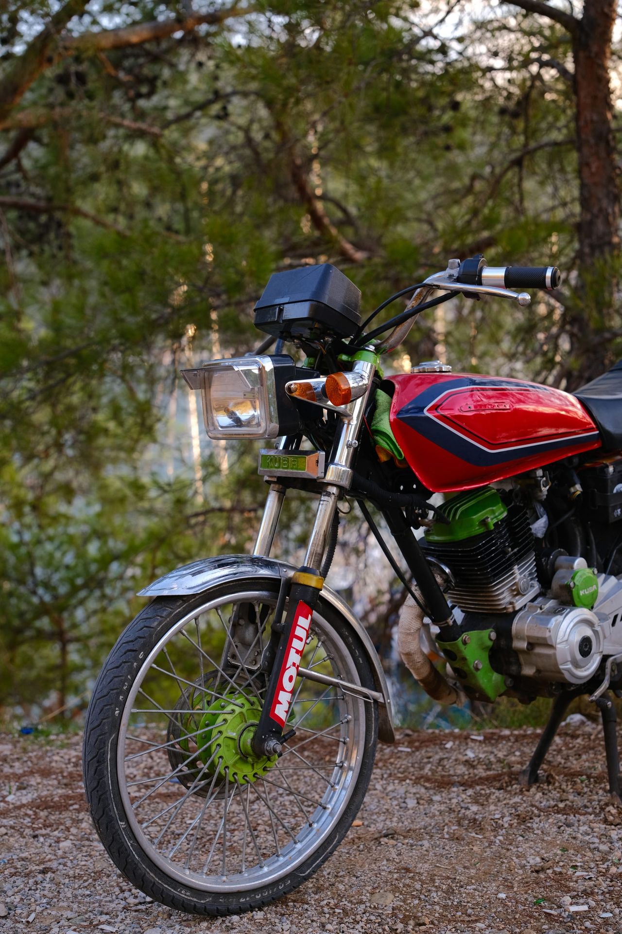 Red motorcycle parked among trees