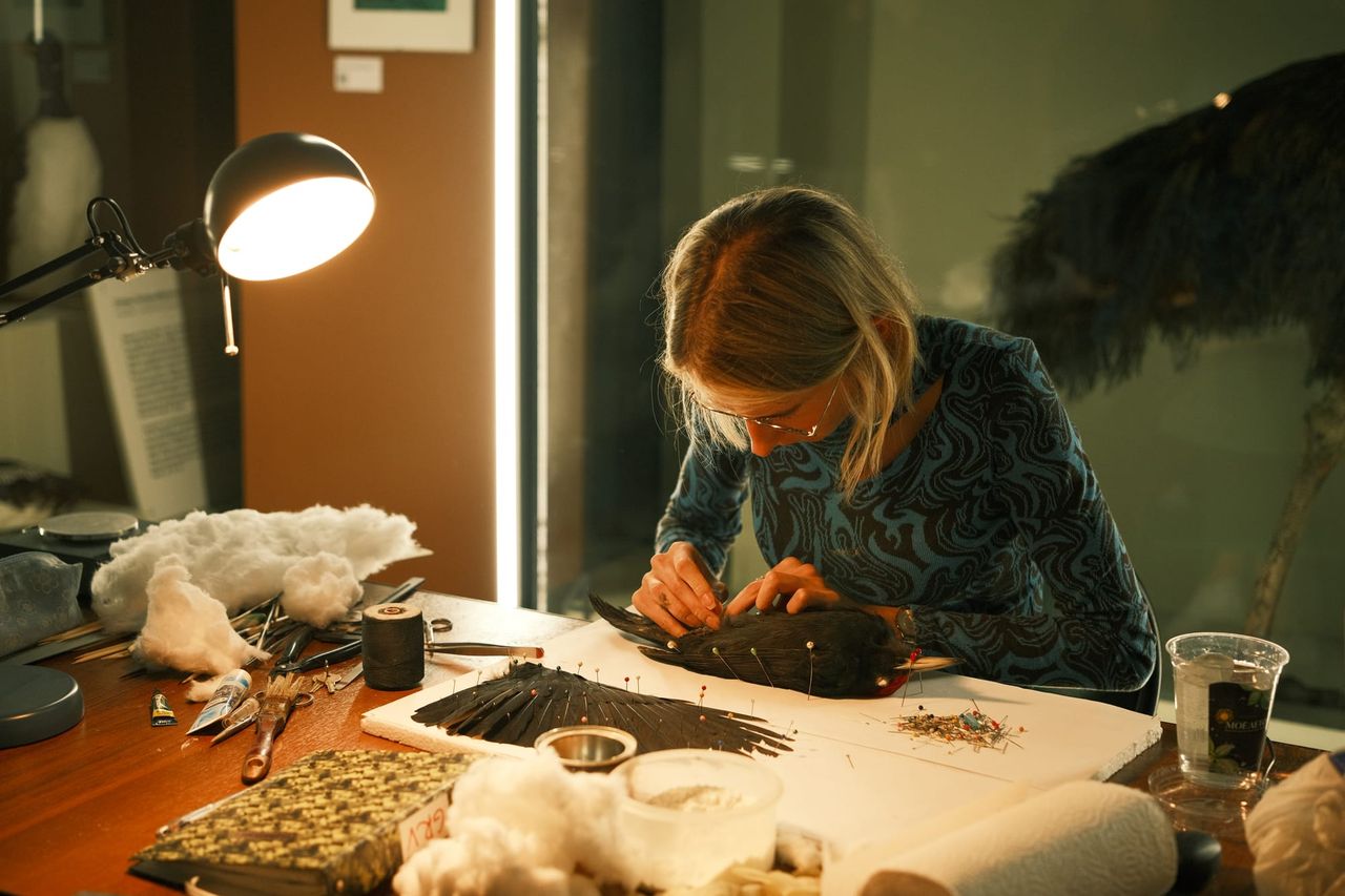 Close view of a woman working carefully at a museum bench covered with tools, materials and specimens.