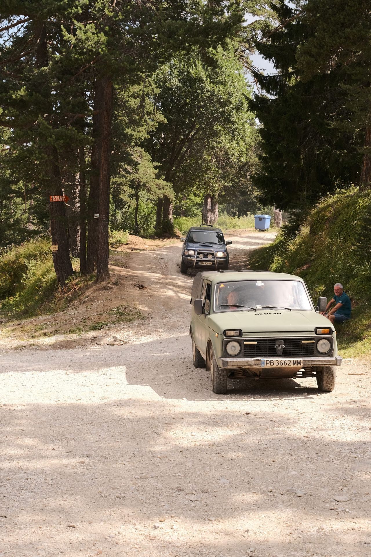 Two cars following a sunlit dirt road through pine trees at Byala Charkva.