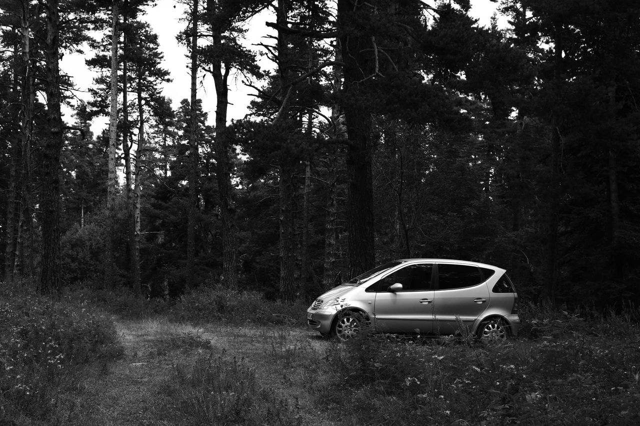 Black and white photograph of a small hatchback parked in a forest clearing at Byala Charkva.