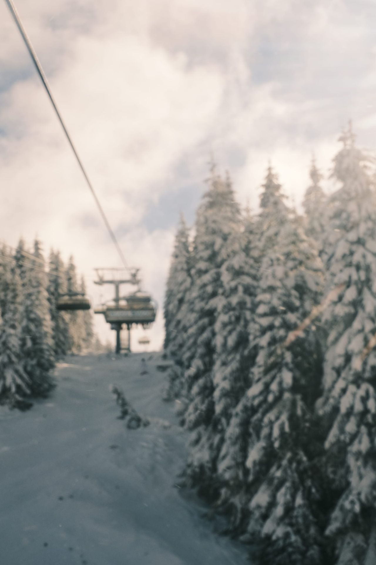 Chairlift cables run between snow-covered conifers on a forest slope.