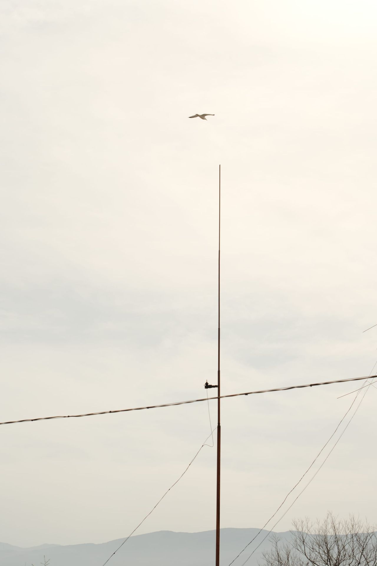 Slender vertical antenna and crossing wire against a pale sky.