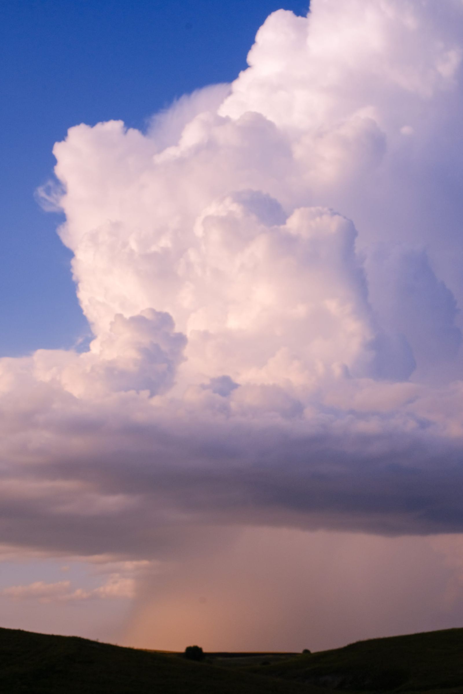 Towering white cumulonimbus cloud rising above a dark open field