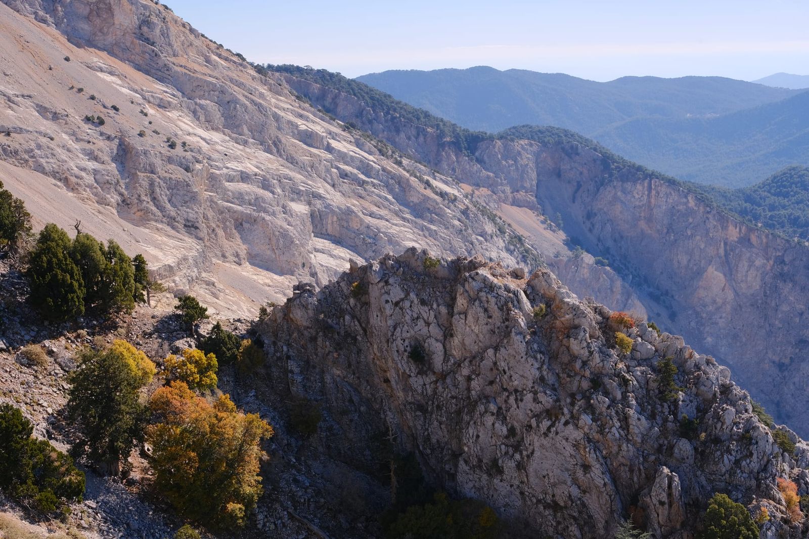 Pale rocky slopes and pine trees high on Babadağ Mountain
