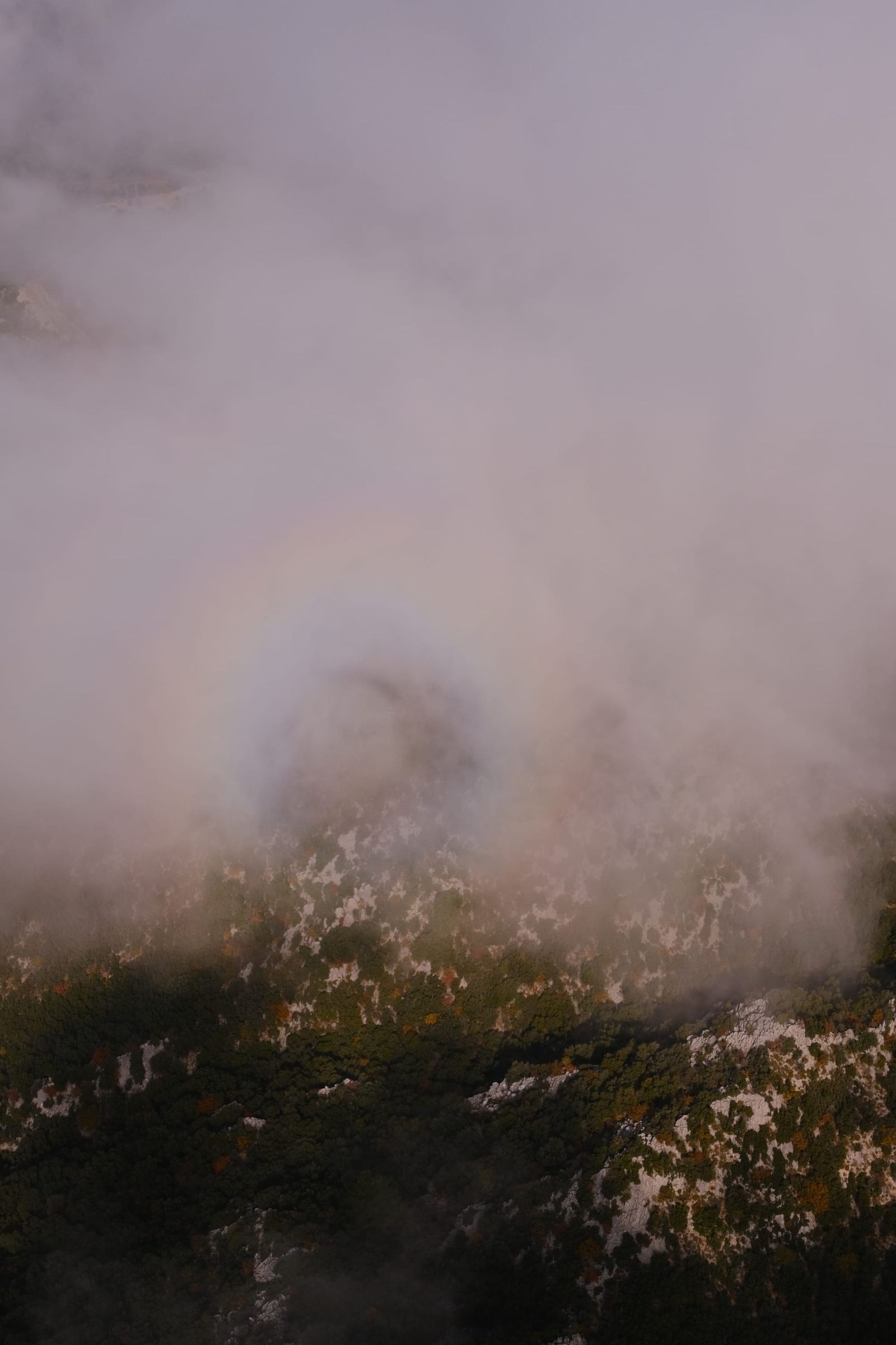 Mountain vegetation partly hidden by pink-white cloud