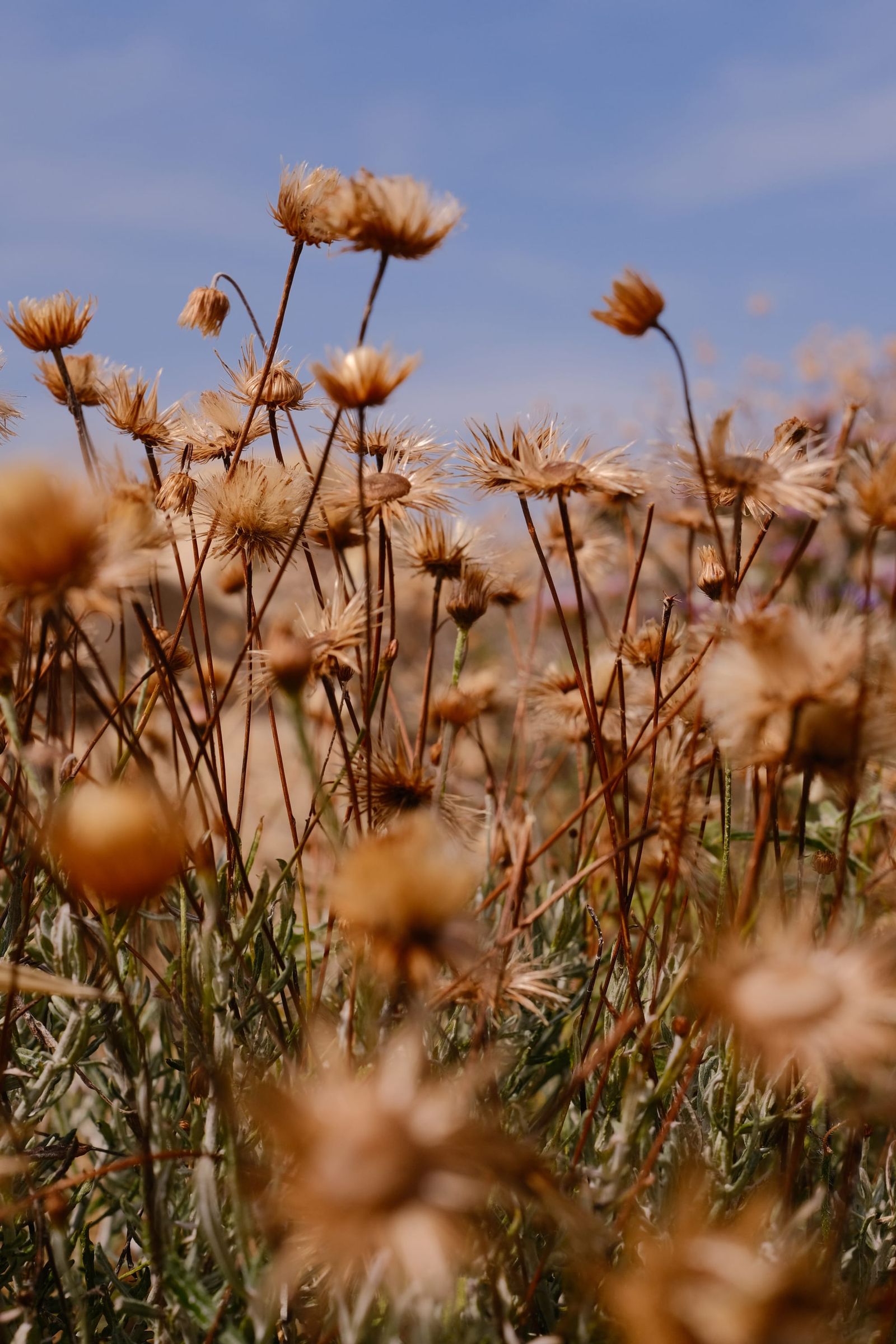 Cyprus Episodes #1 · 39