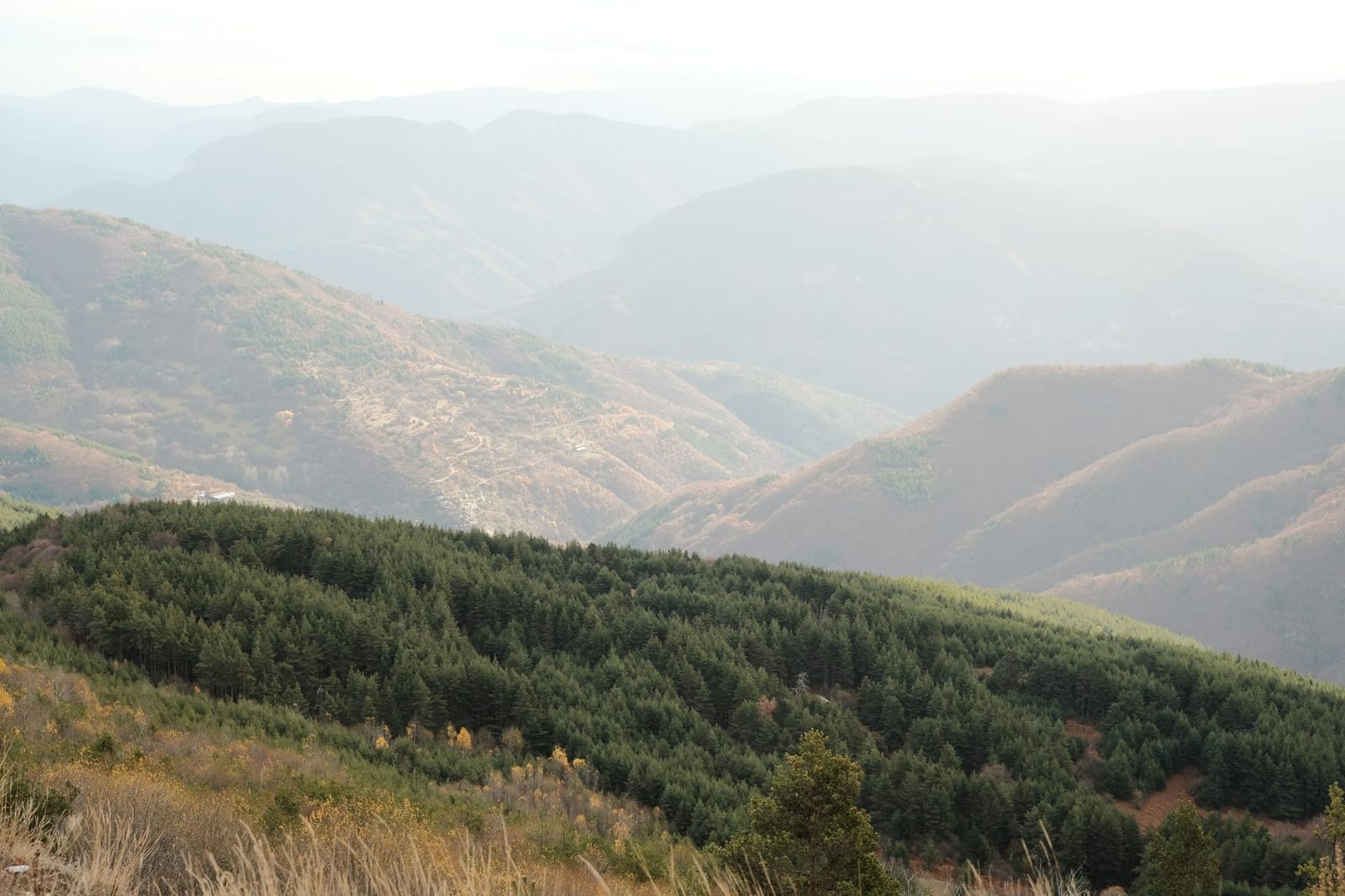 Layered mountain ridges fade into pale haze beyond a wooded foreground slope.