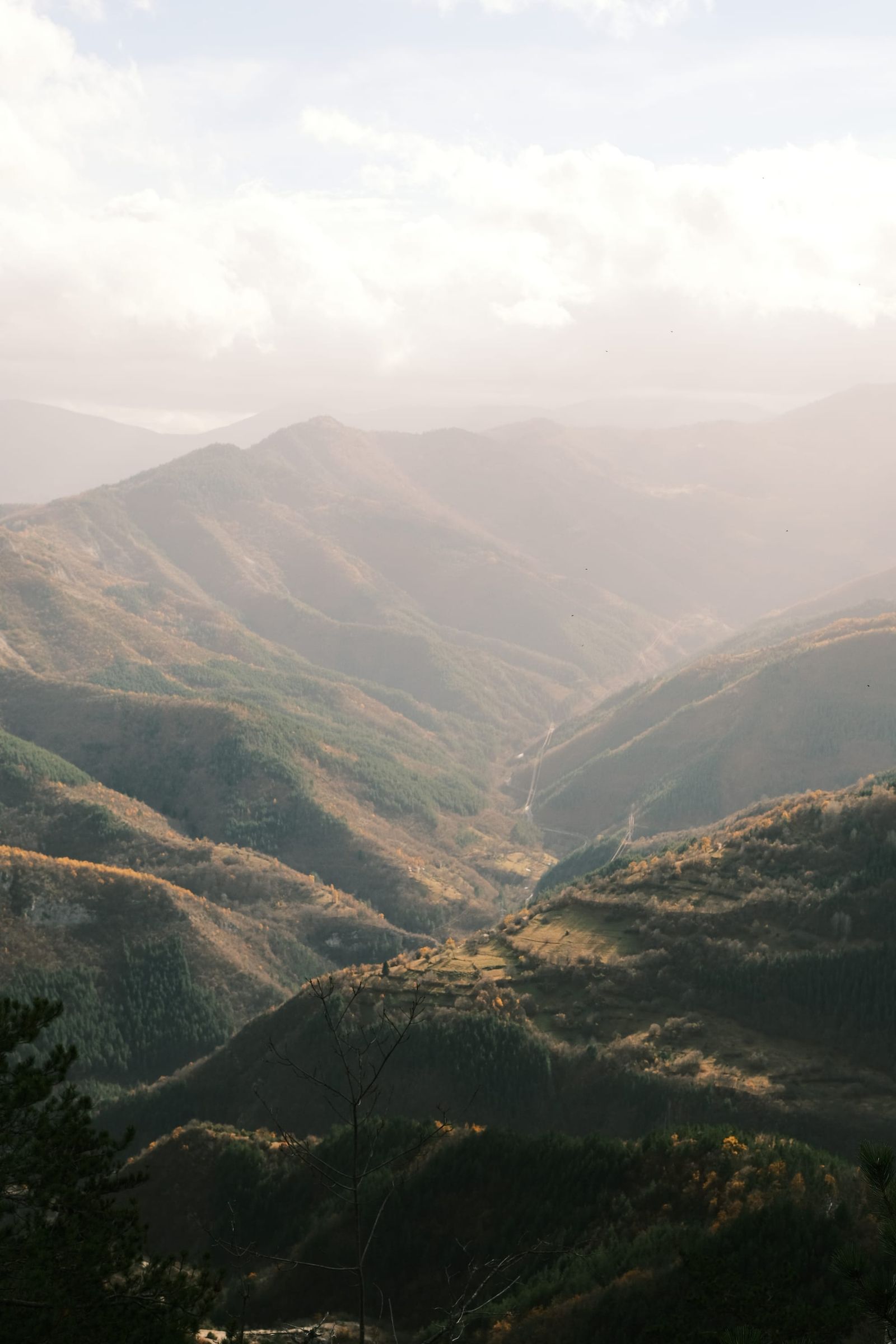 A tall view into a winding mountain valley, with warm light across successive ridges.
