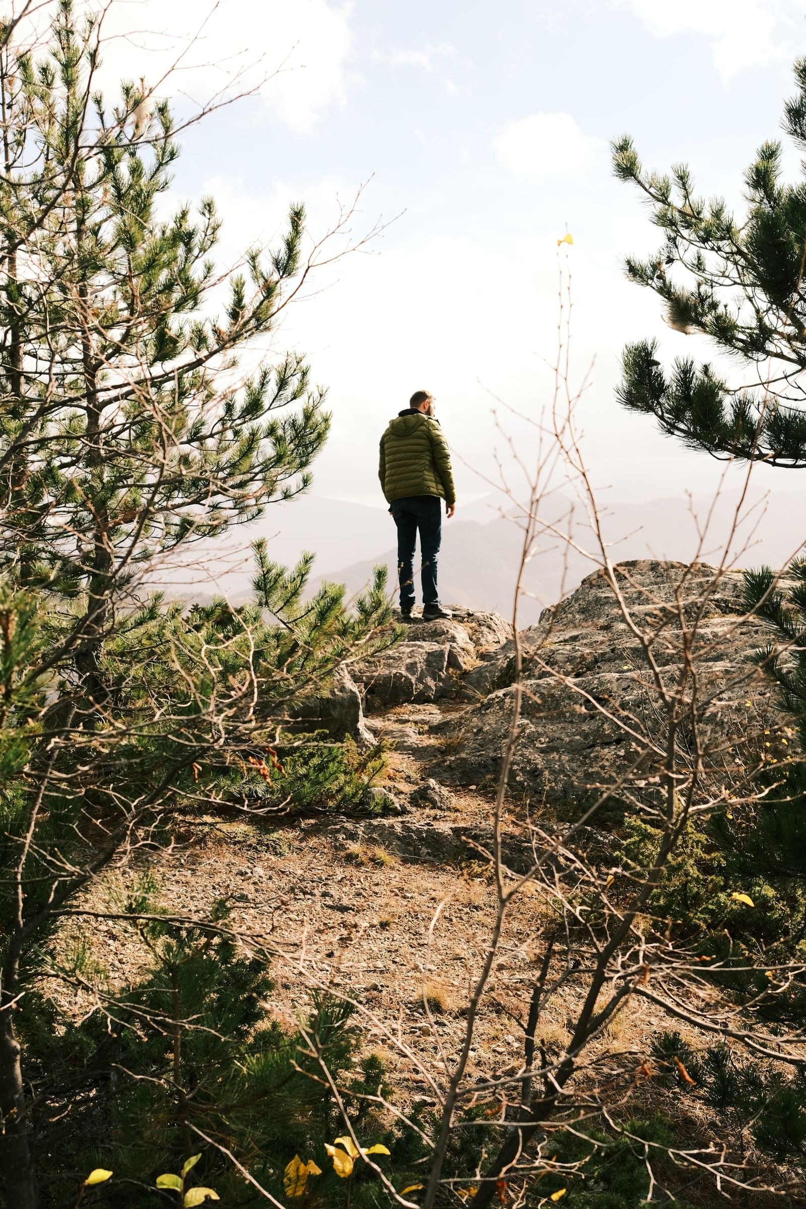 A lone walker stands on a rocky ridge between pine trees.