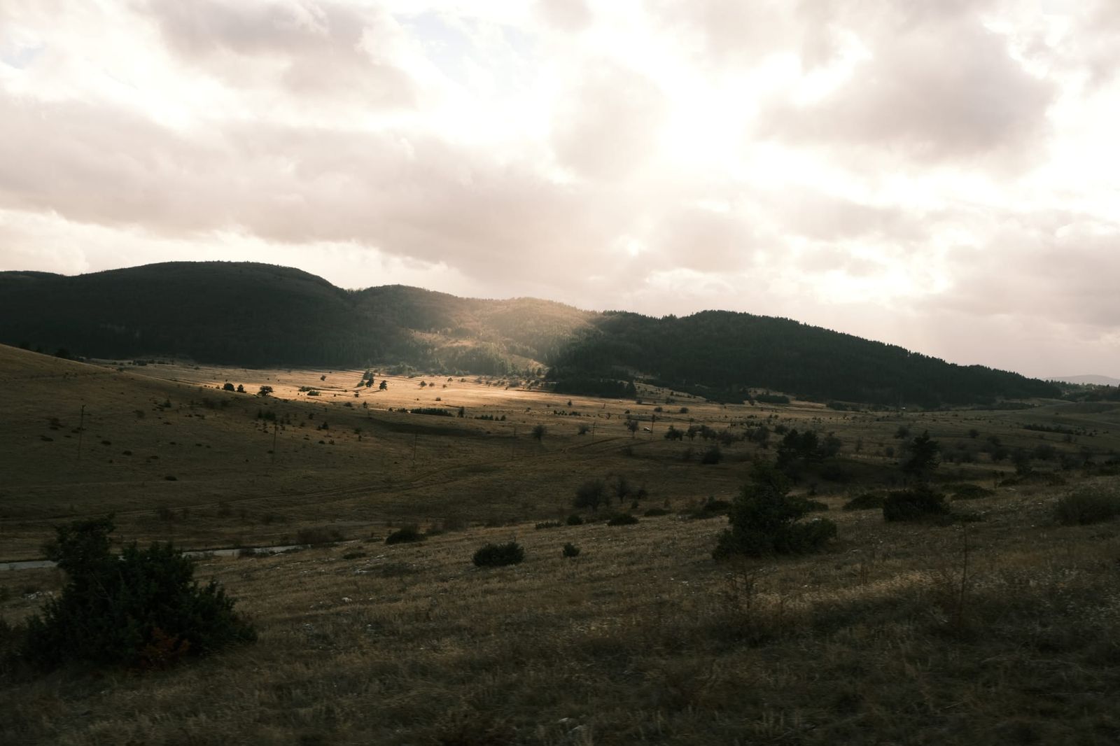 A patch of sunlight crosses an open mountain meadow beneath heavy clouds.