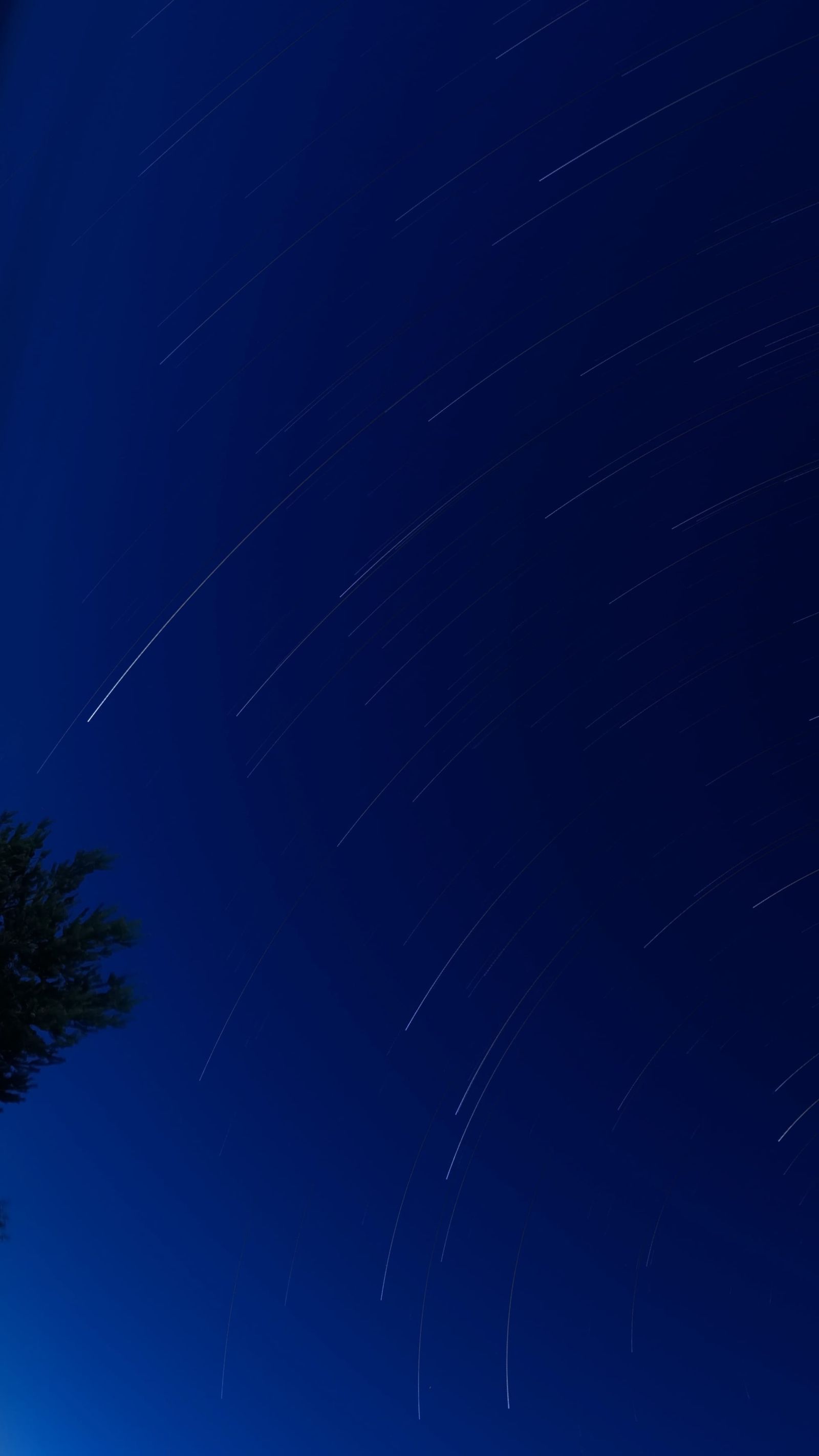 Diagonal star trails sweeping across a deep blue night sky above treetops