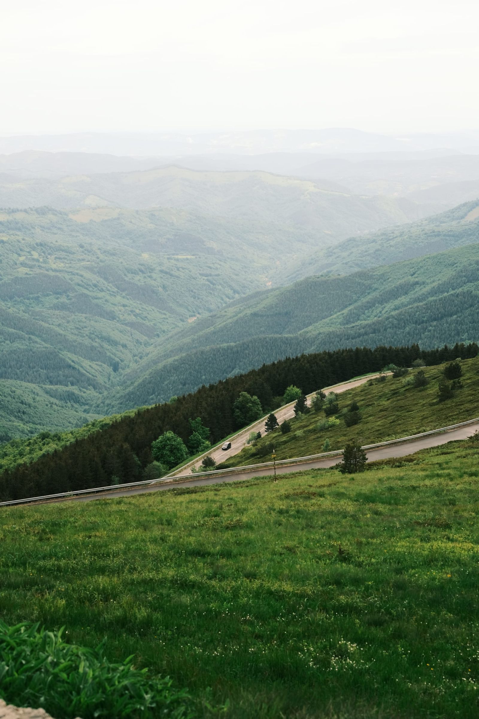 Deep forested valley viewed from a grassy mountain slope