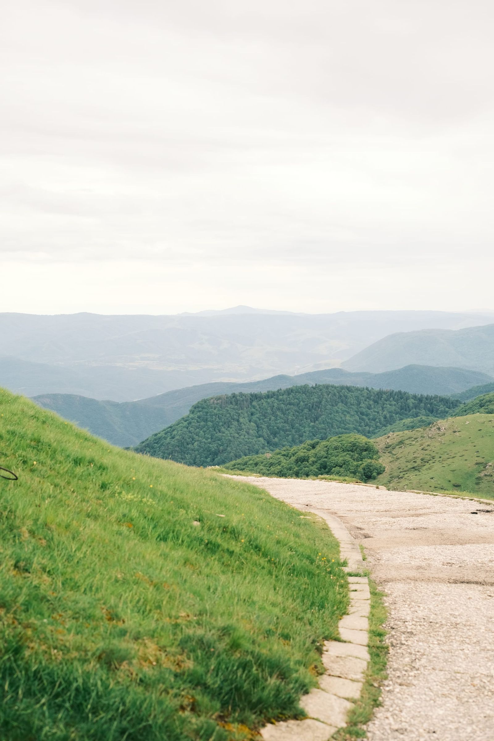 Narrow concrete road descending through open green hills