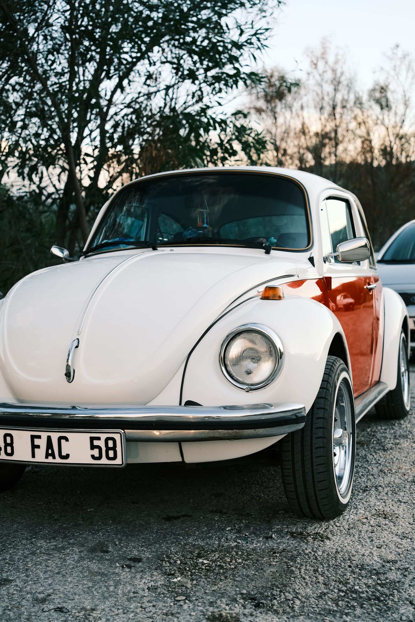 White classic Volkswagen Beetle parked beneath trees