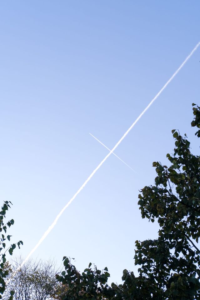 Two white aircraft trails crossing in a pale blue sky above leafy trees