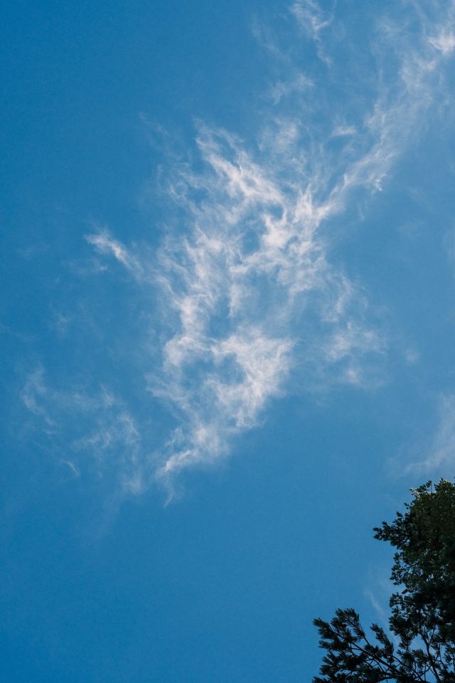 Wispy white cloud stretching across a deep blue sky above treetops