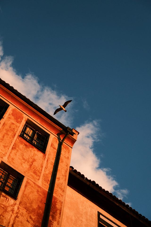 Bird flying above a terracotta building under a deep blue sky