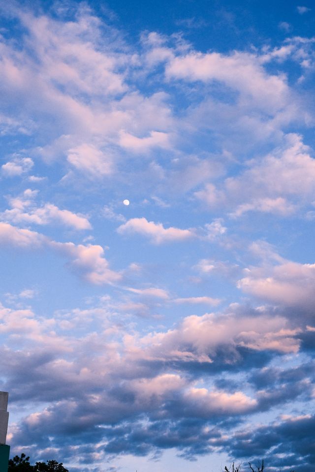 Pink and grey clouds scattered across a vivid blue evening sky