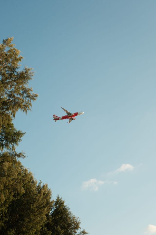 Small red-and-white airplane flying above trees in a clear blue sky