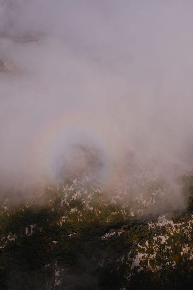 Mountain vegetation partly hidden by pink-white cloud
