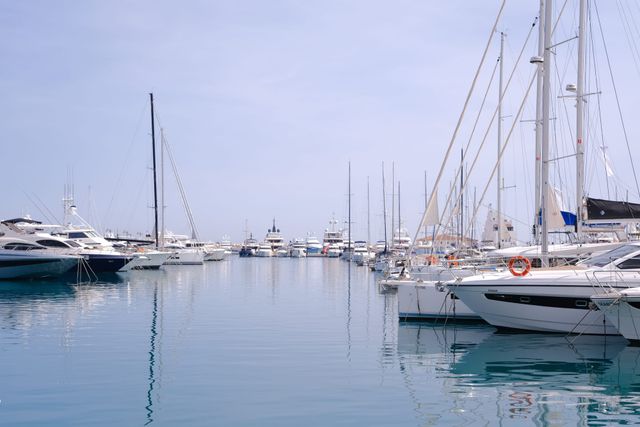 Cyprus Episodes #1 · 43