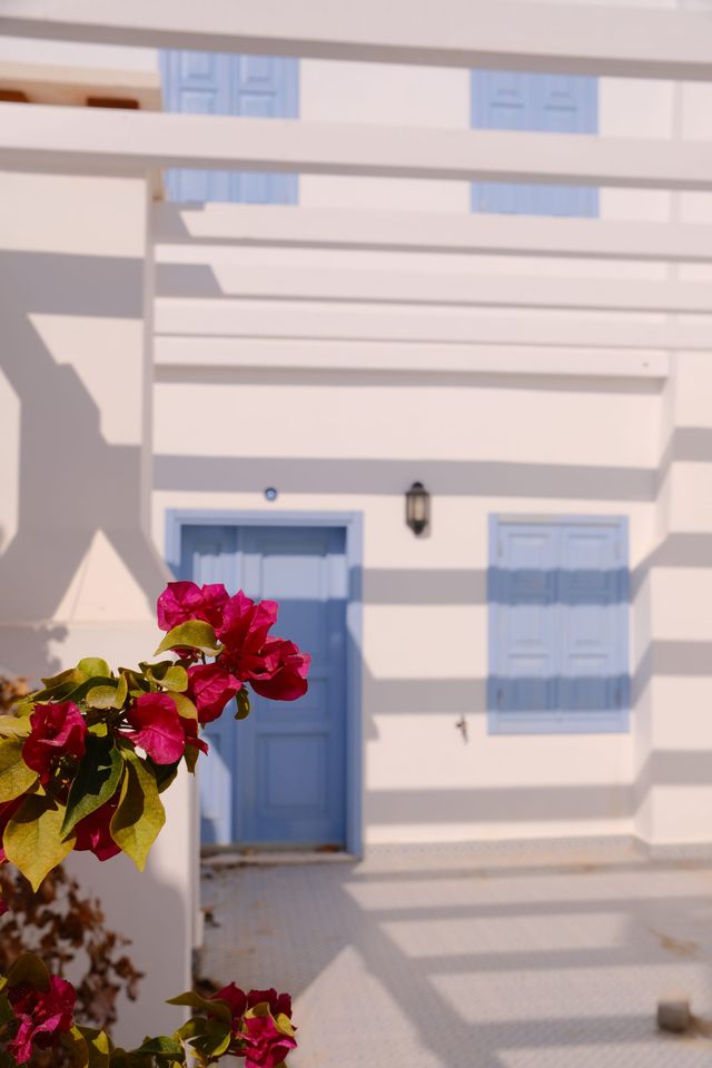 Red flowers frame a pale building with blue shutters and a blue door in bright sunlight.