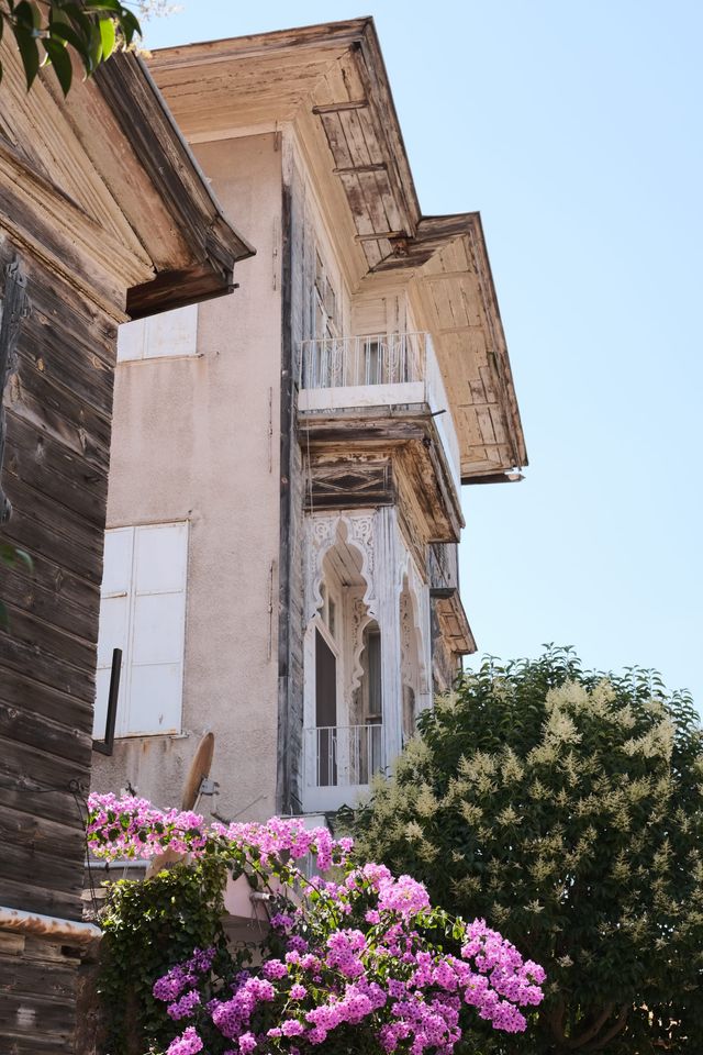 Pink flowers grow beside a weathered building with projecting balconies beneath a blue sky.