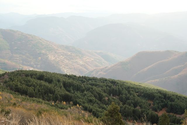 Layered mountain ridges fade into pale haze beyond a wooded foreground slope.