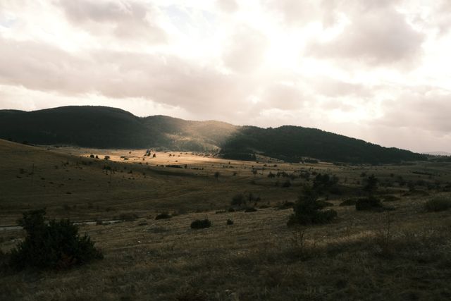 A patch of sunlight crosses an open mountain meadow beneath heavy clouds.