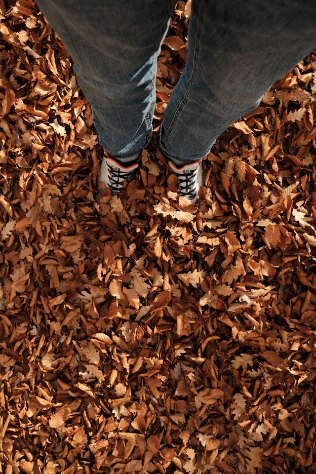 Looking down at walking shoes and trouser legs above a carpet of orange-brown leaves.