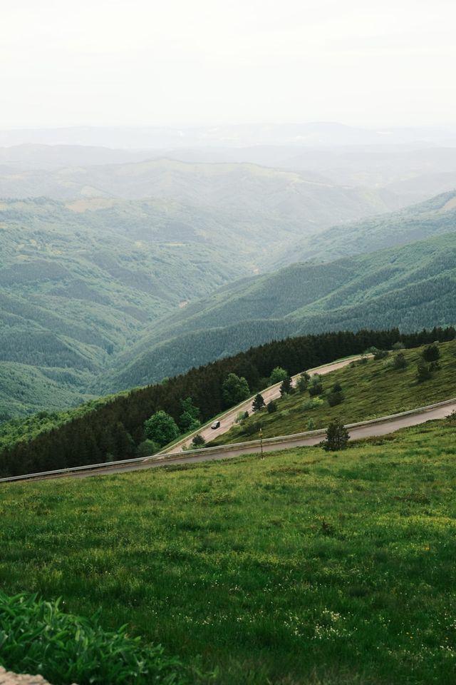 Deep forested valley viewed from a grassy mountain slope