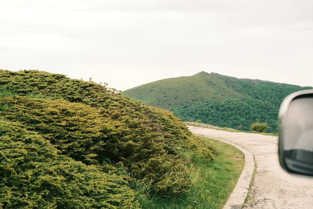 Mountain road curving around dense low shrubs