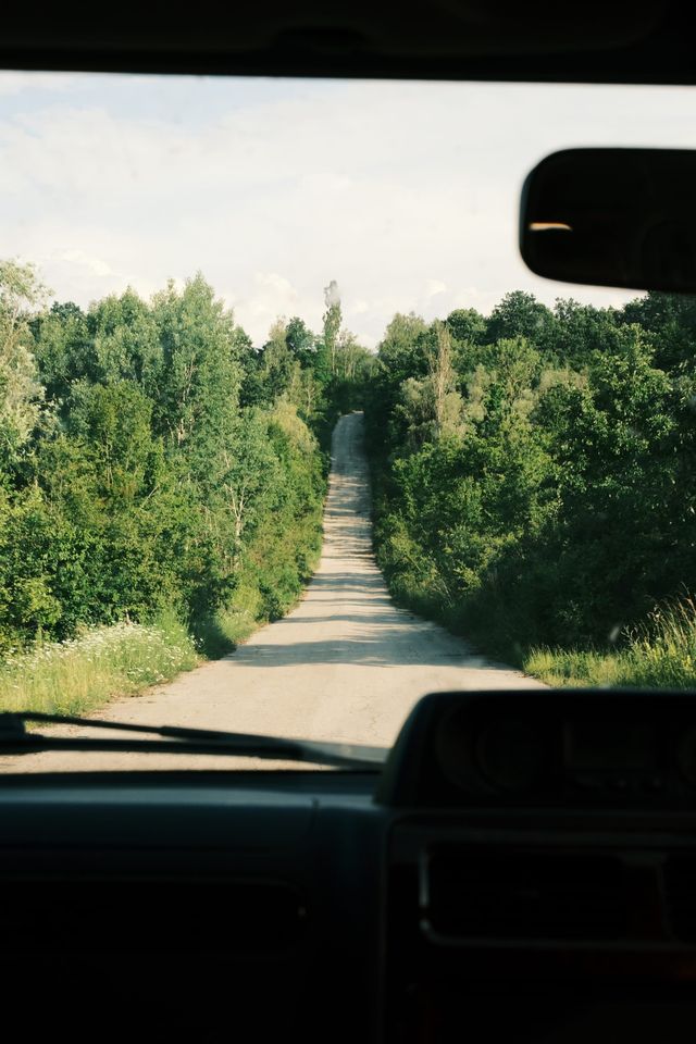 Straight forest road seen through a vehicle windscreen