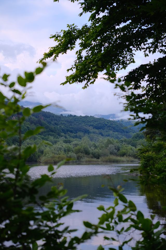 River and wooded hillside seen through foreground leaves
