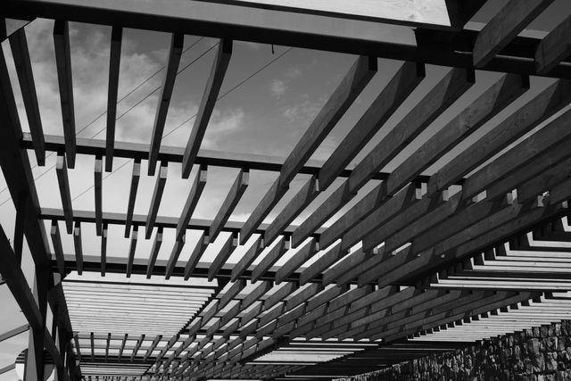 Black-and-white view through the geometric beams of a mountain terrace