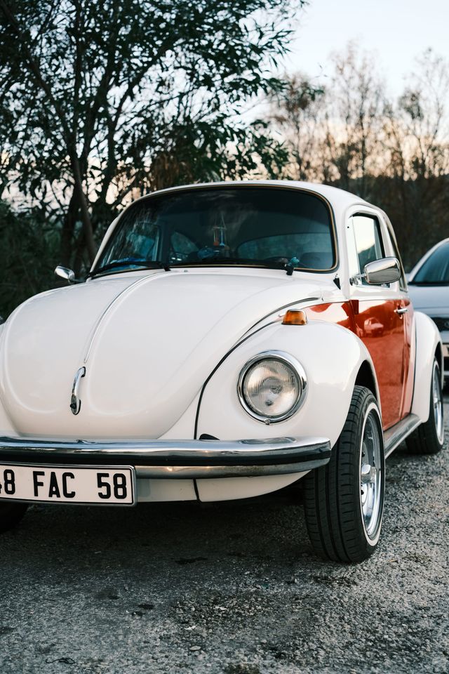 White classic Volkswagen Beetle parked beneath trees